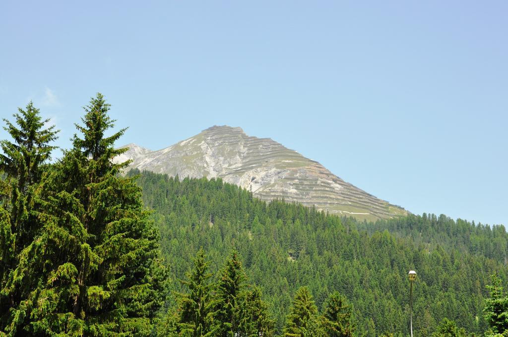 Riedwiese Davos