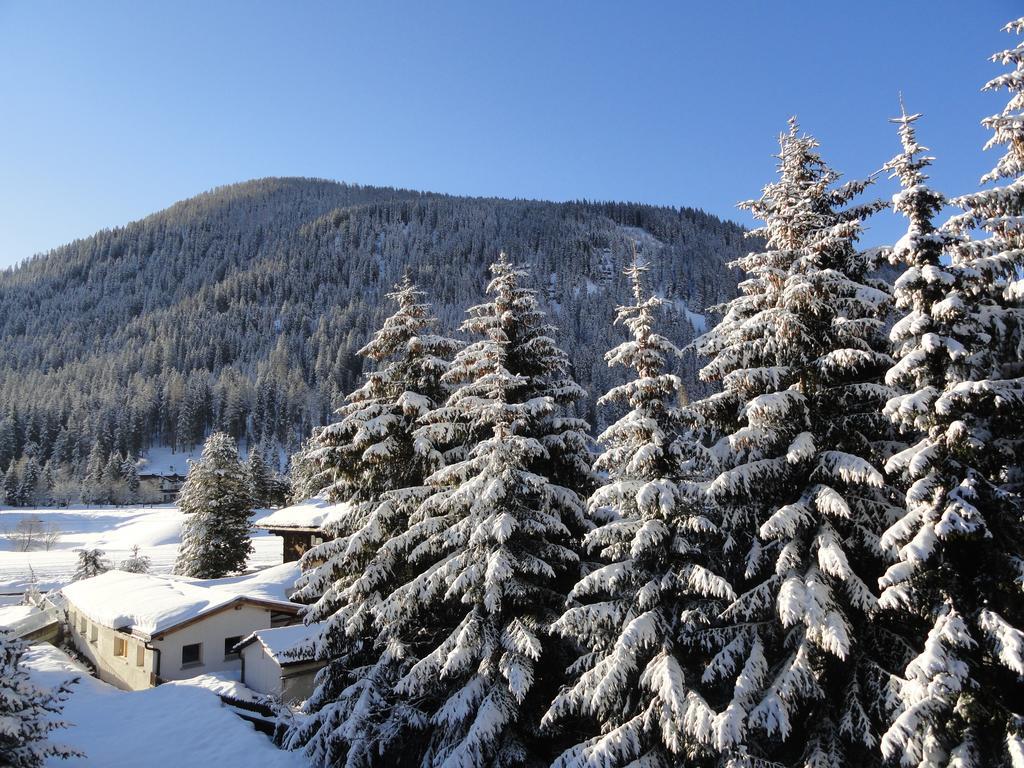 Riedwiese Davos