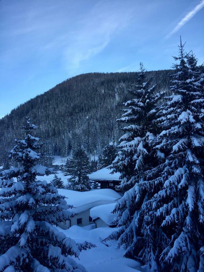 Riedwiese * Davos